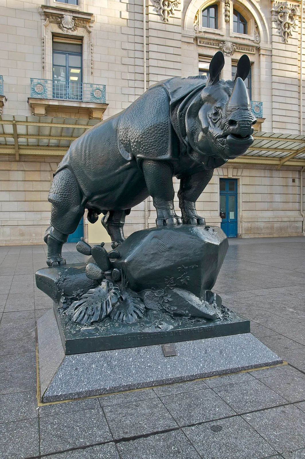 Rhinocéros