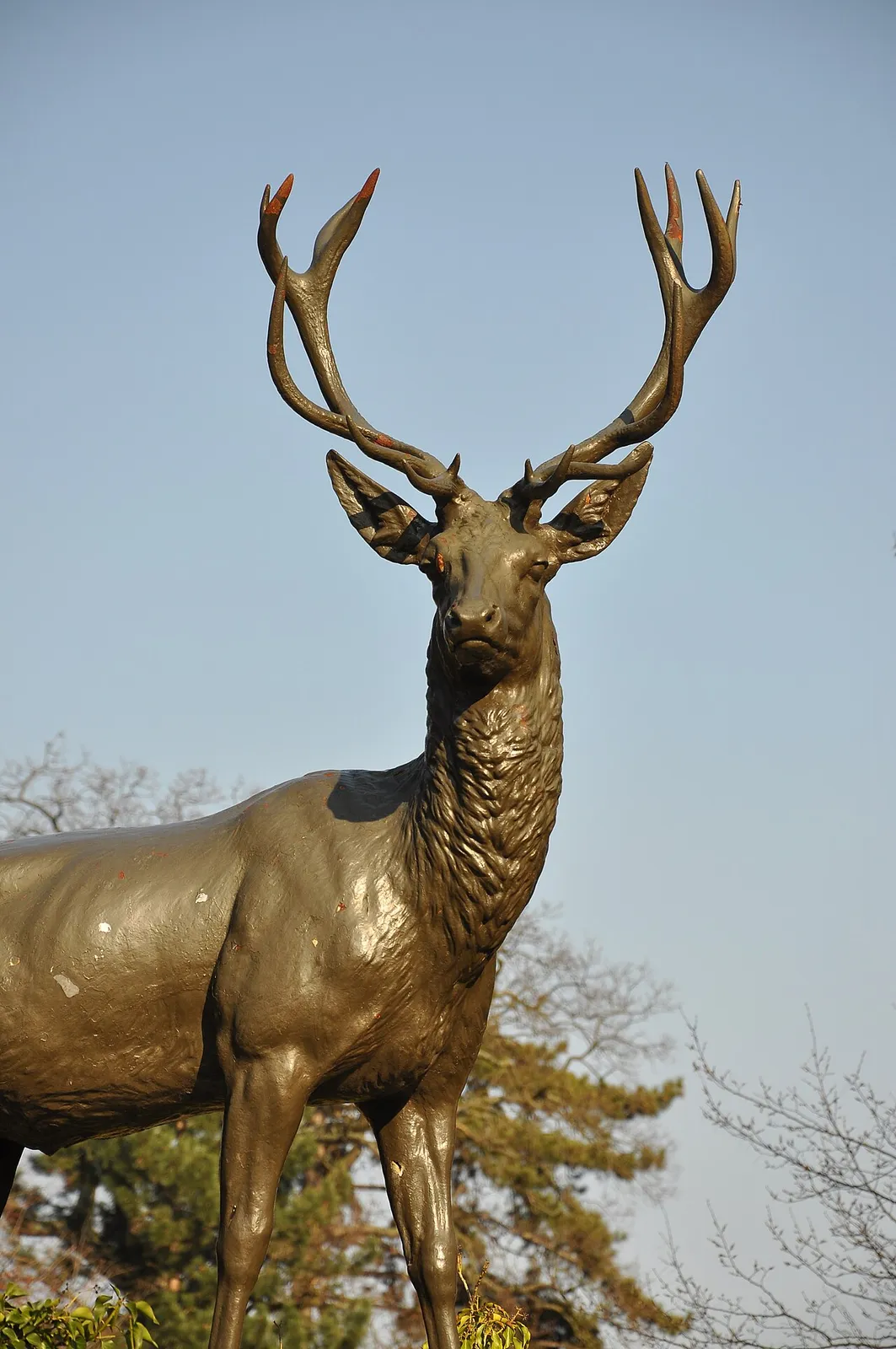 Le Grand Cerf