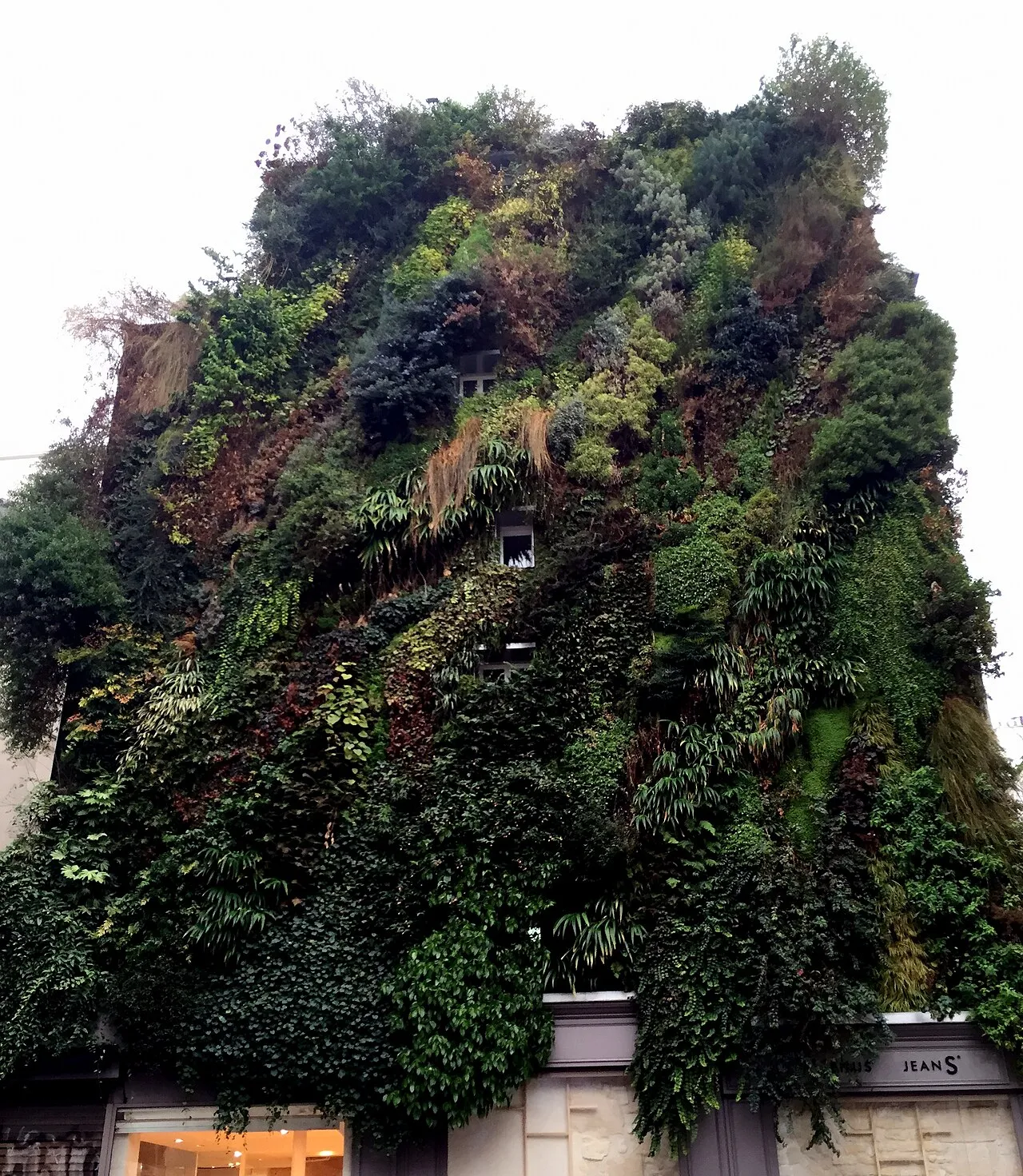 L'Oasis d'Aboukir