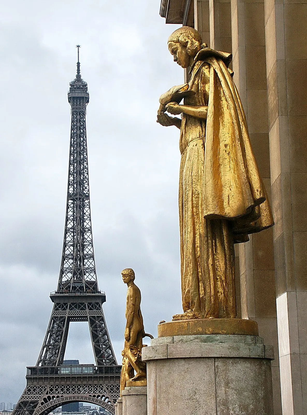 Les oiseaux