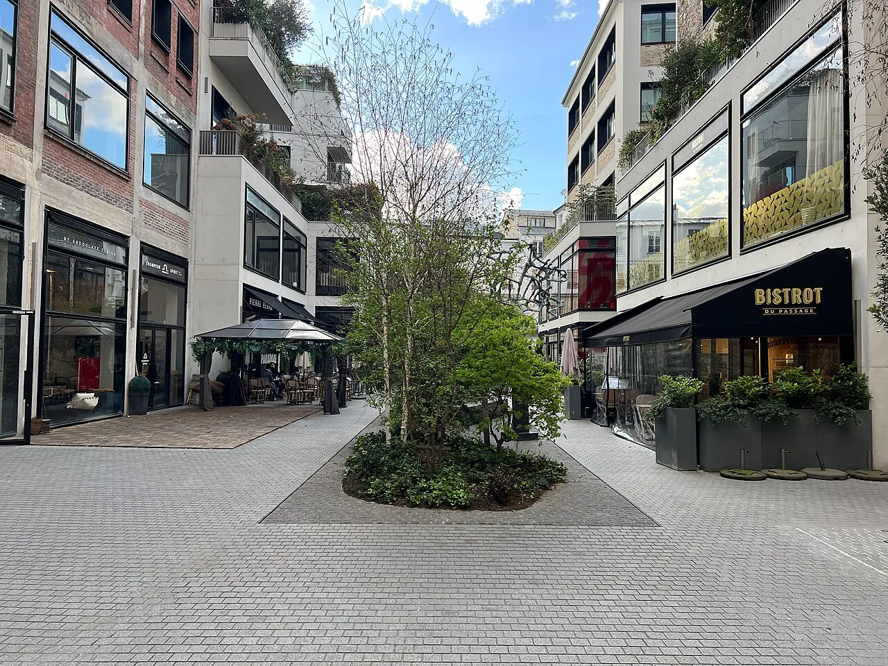 L'Arbre Neuronal