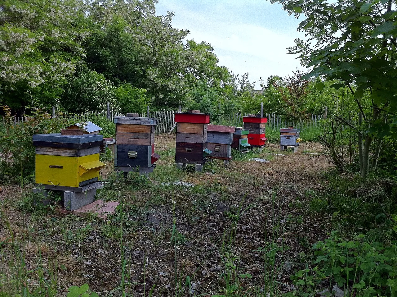 Observatoire des Pâtres