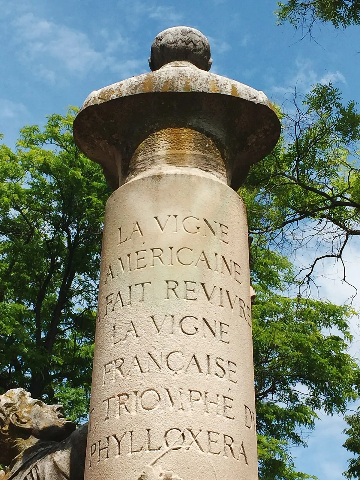 Monument Planchon