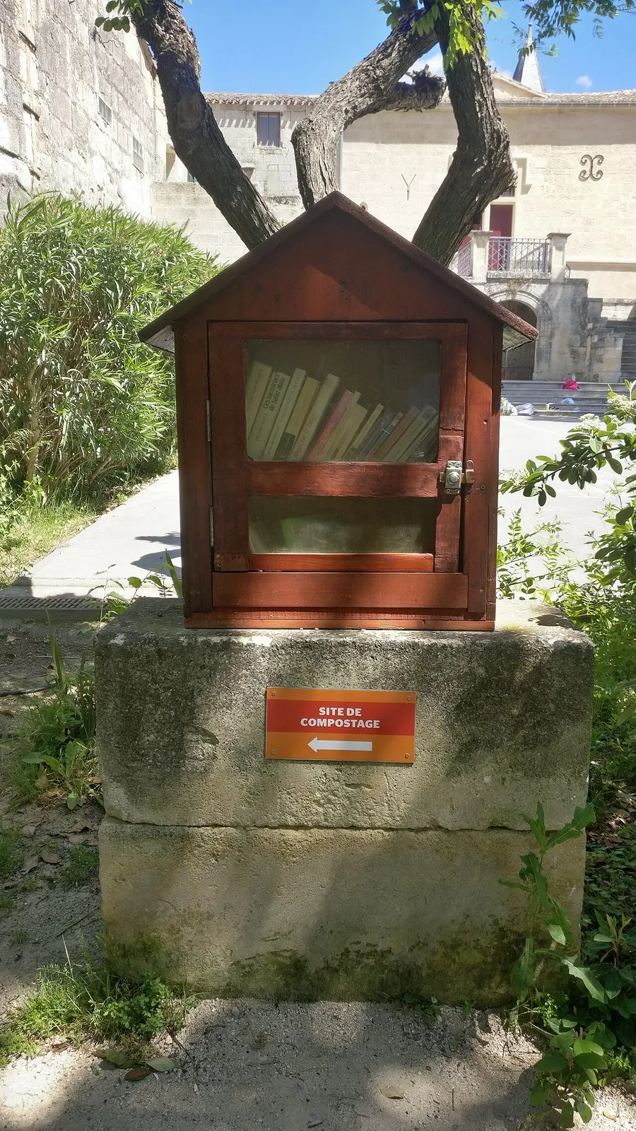 Cèdre Sculpté par Michel Chevray