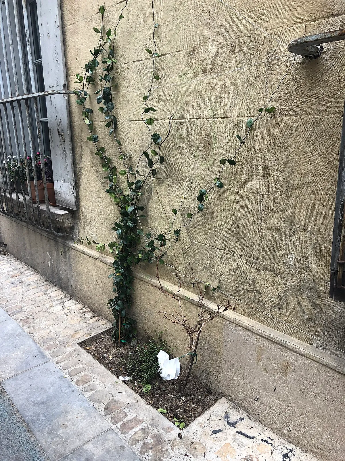 Jeanne d’Arc