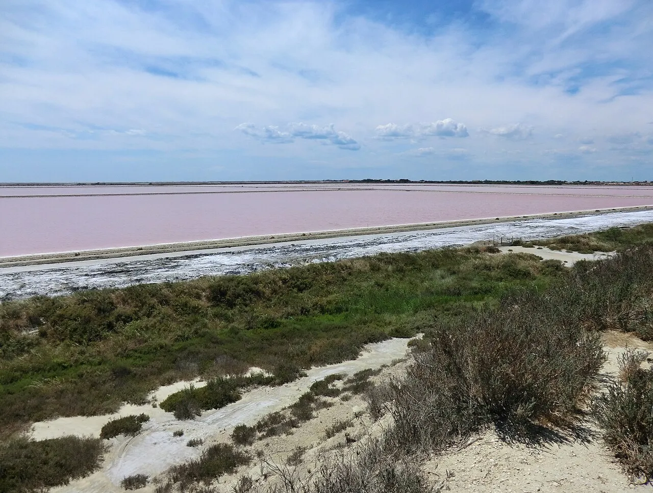 Le Point de Vue des Salins
