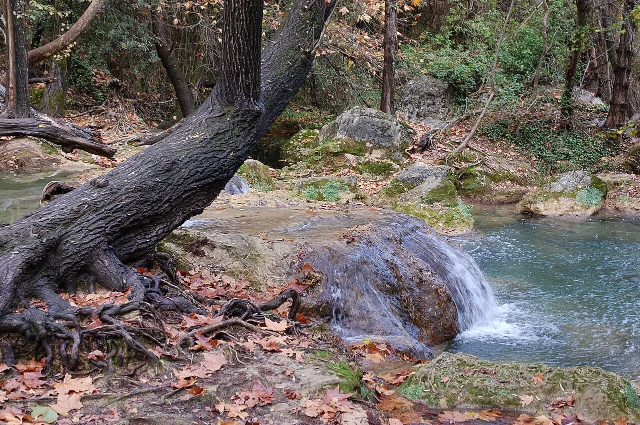 Cascade