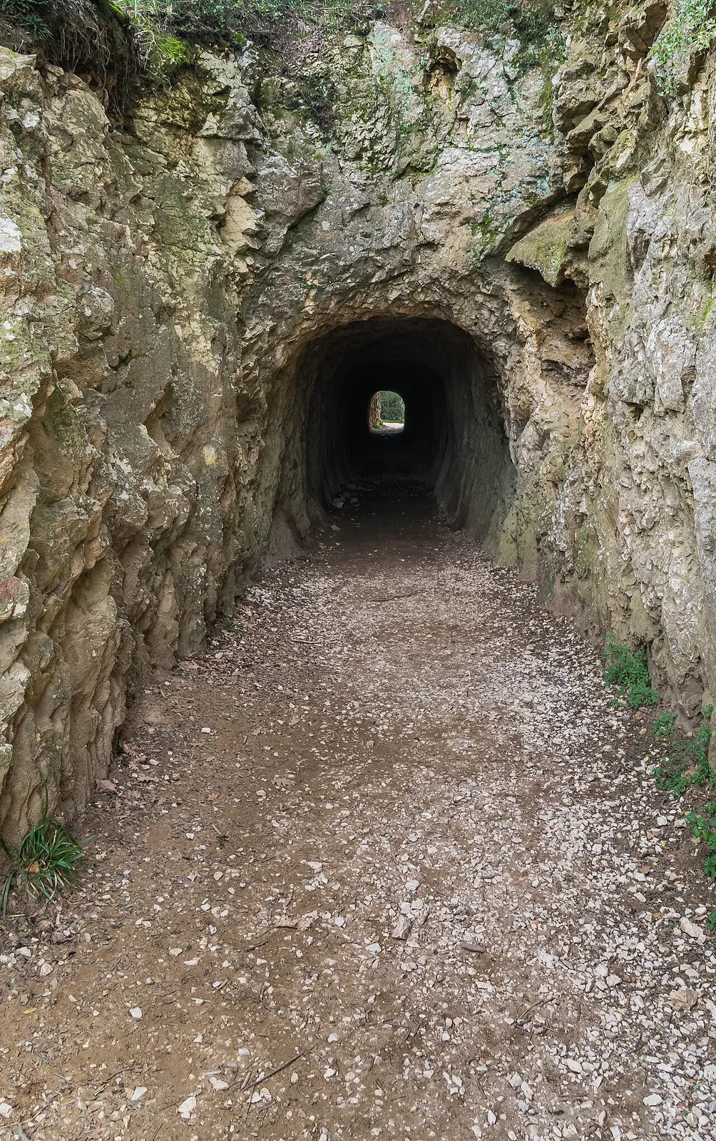 Tunnel