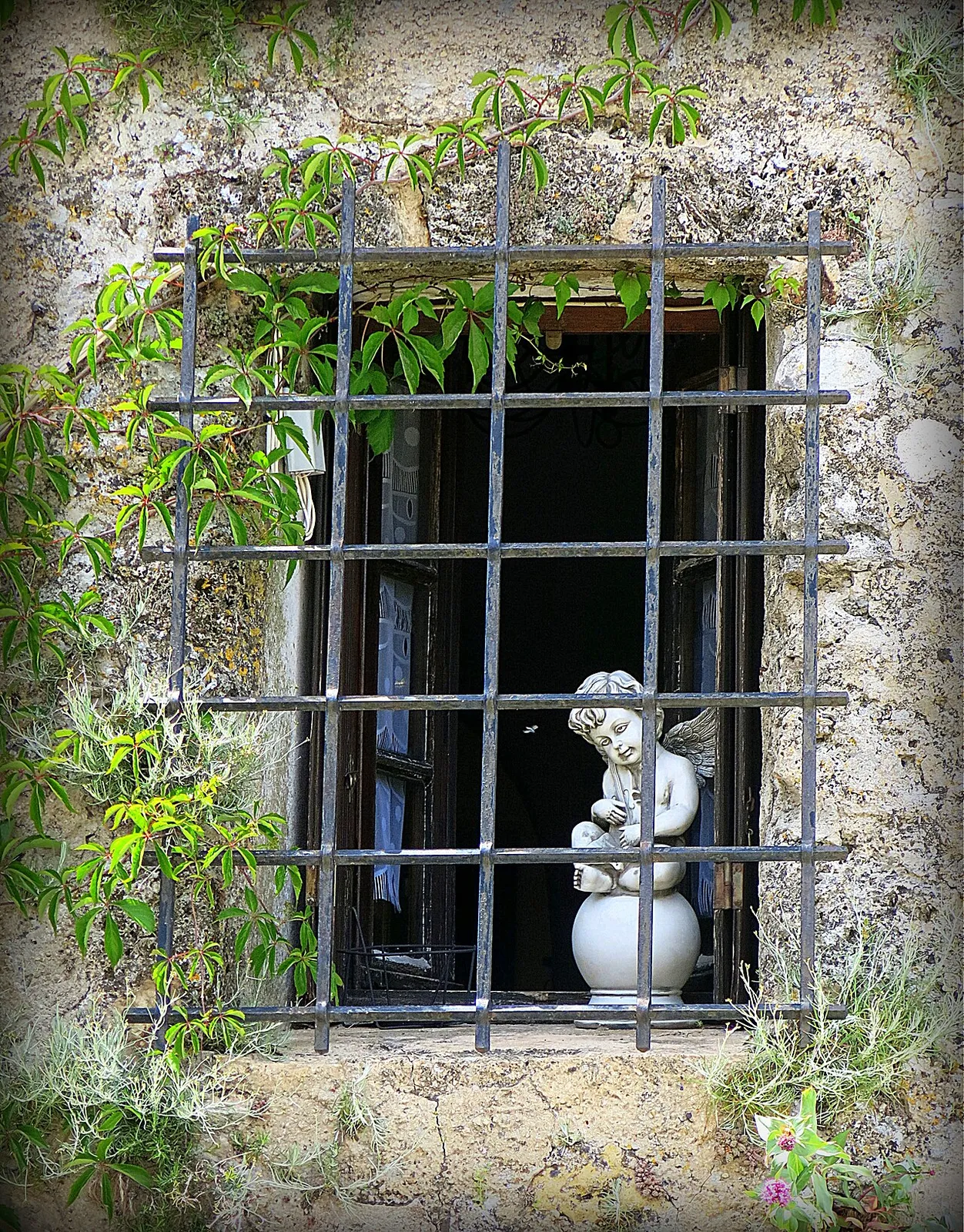 Vieux Château