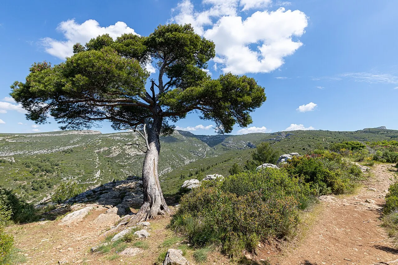 Entrée d'Aubignane