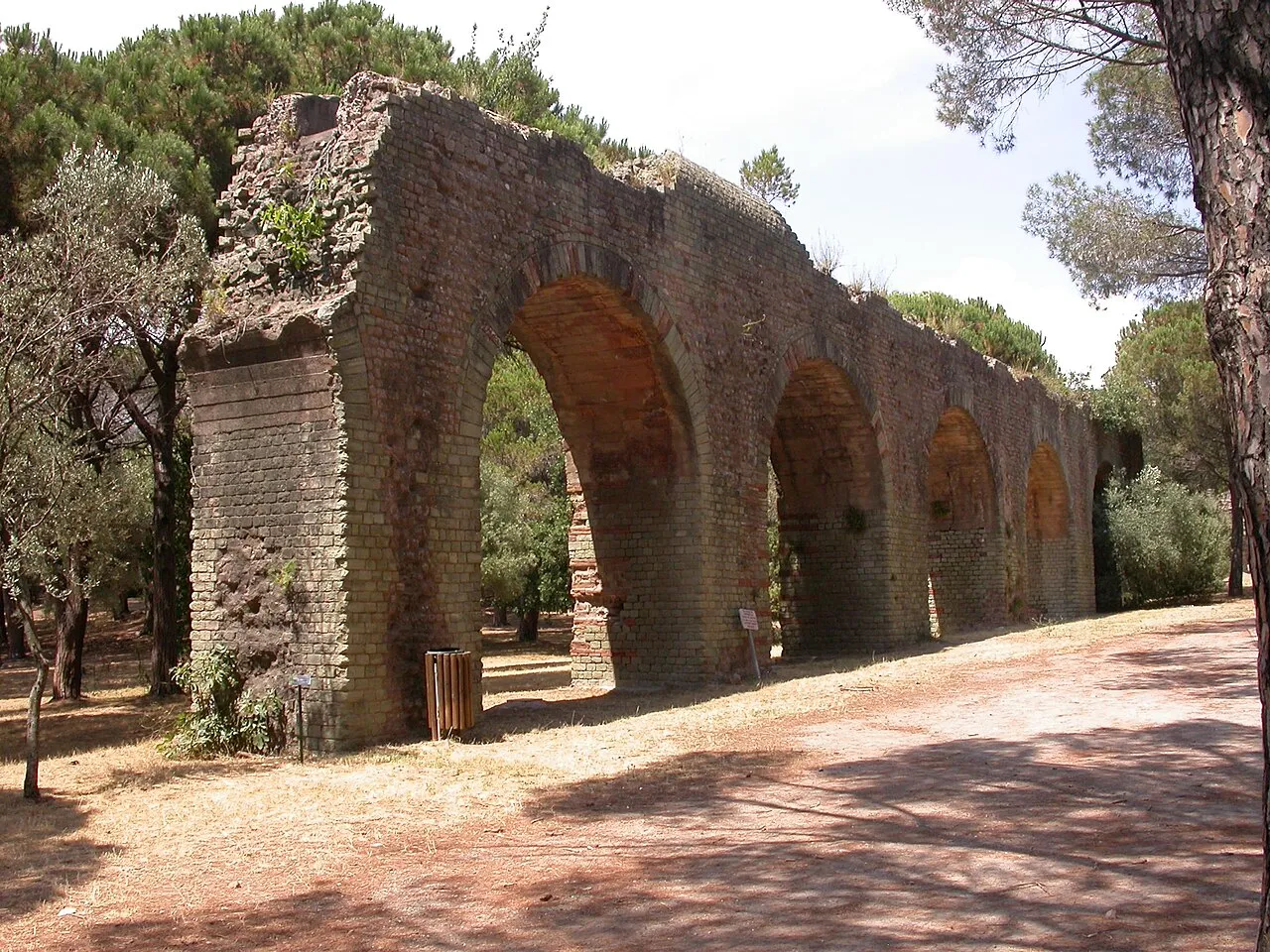 Aqva Foroivliensis