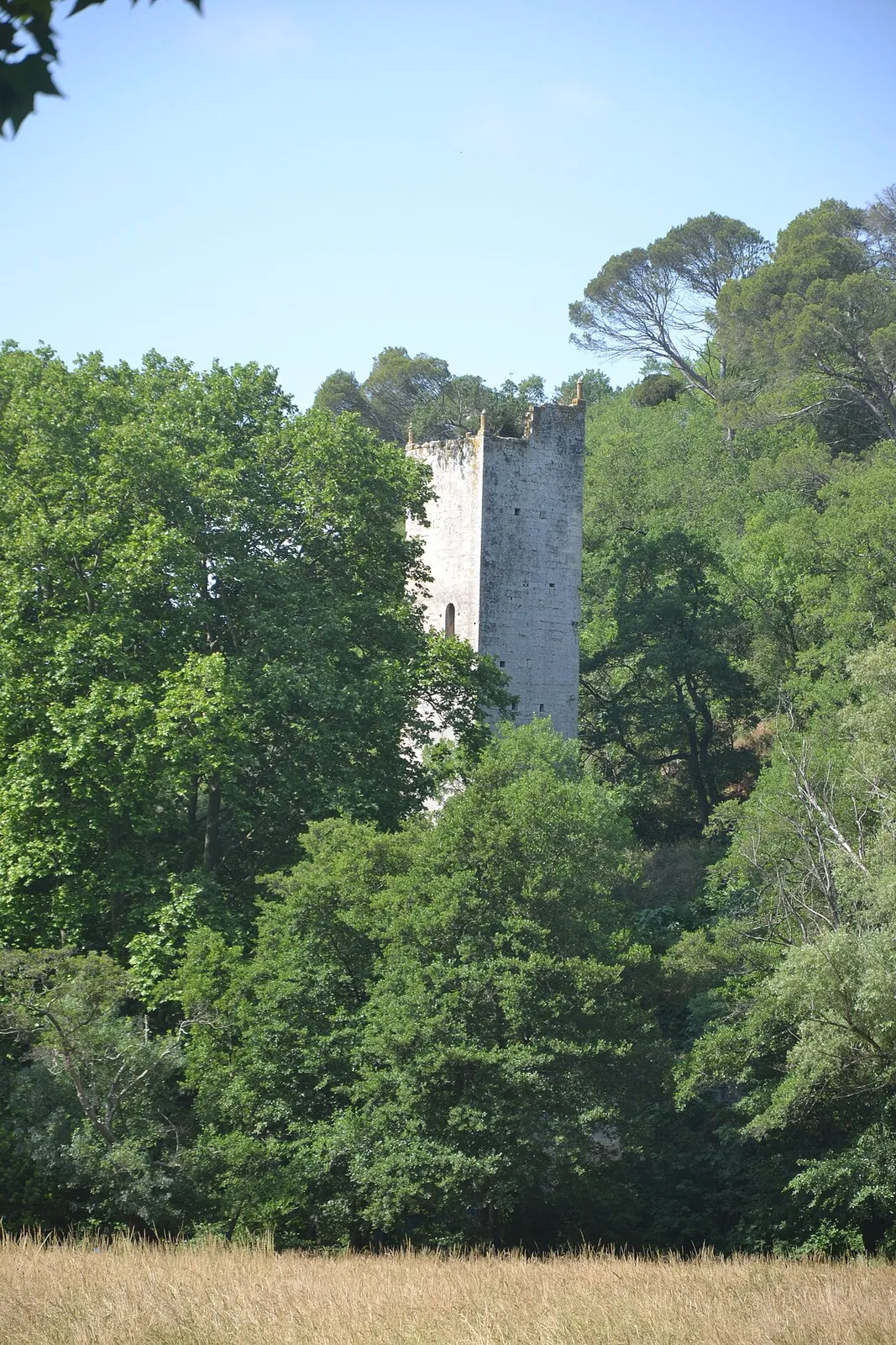 Tour du moulin du Prévôt de la cathédrale