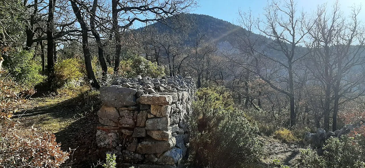 Oppidum de la Tête de l'Ost