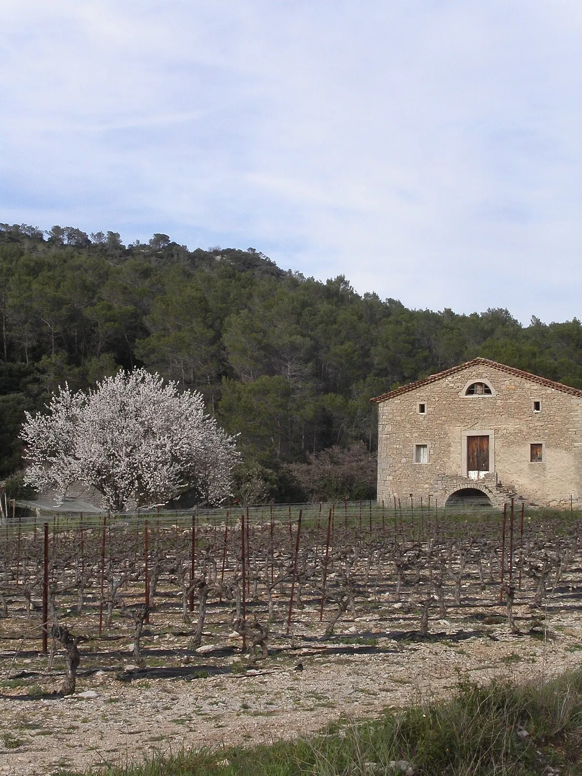 Château du Mas del Ranq