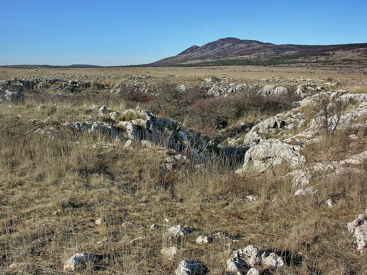 Grand aven de la Nouguière