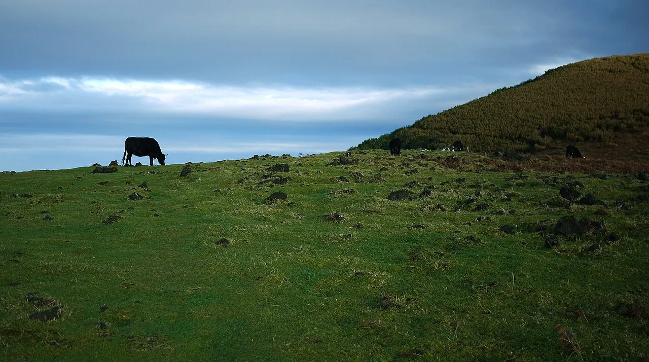 Rocha dos Ingleses