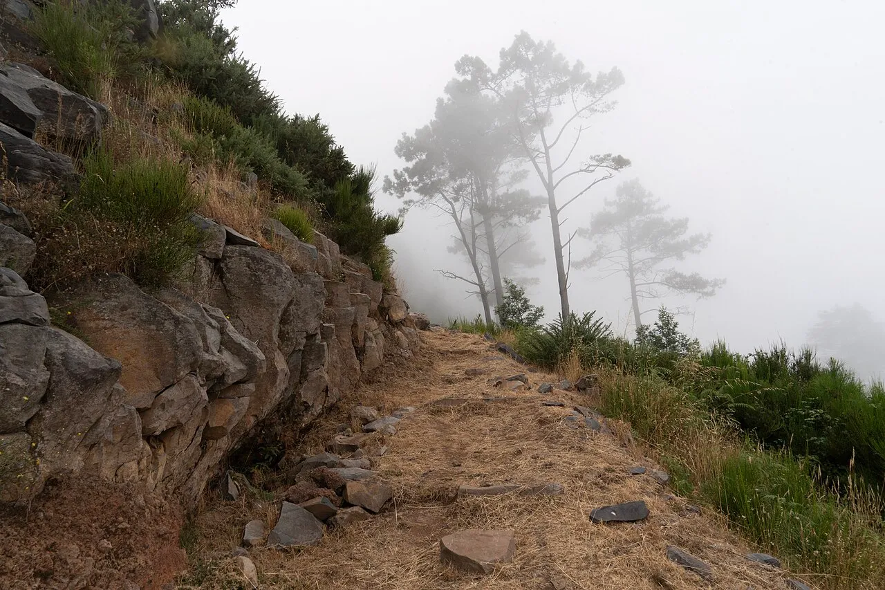 Pico Alto