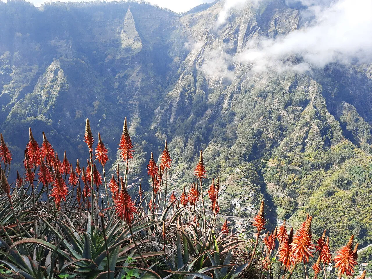 Eira do Serrado