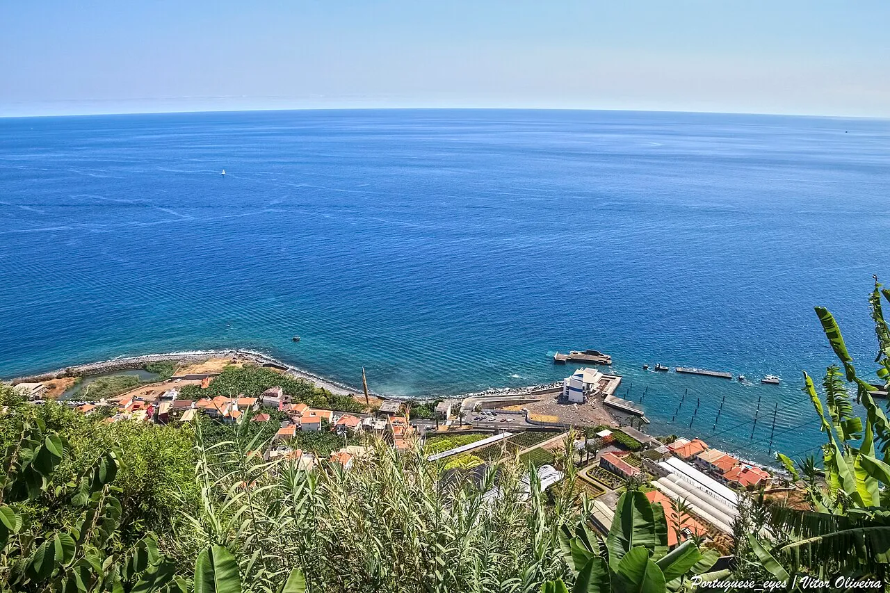 Amendoeira