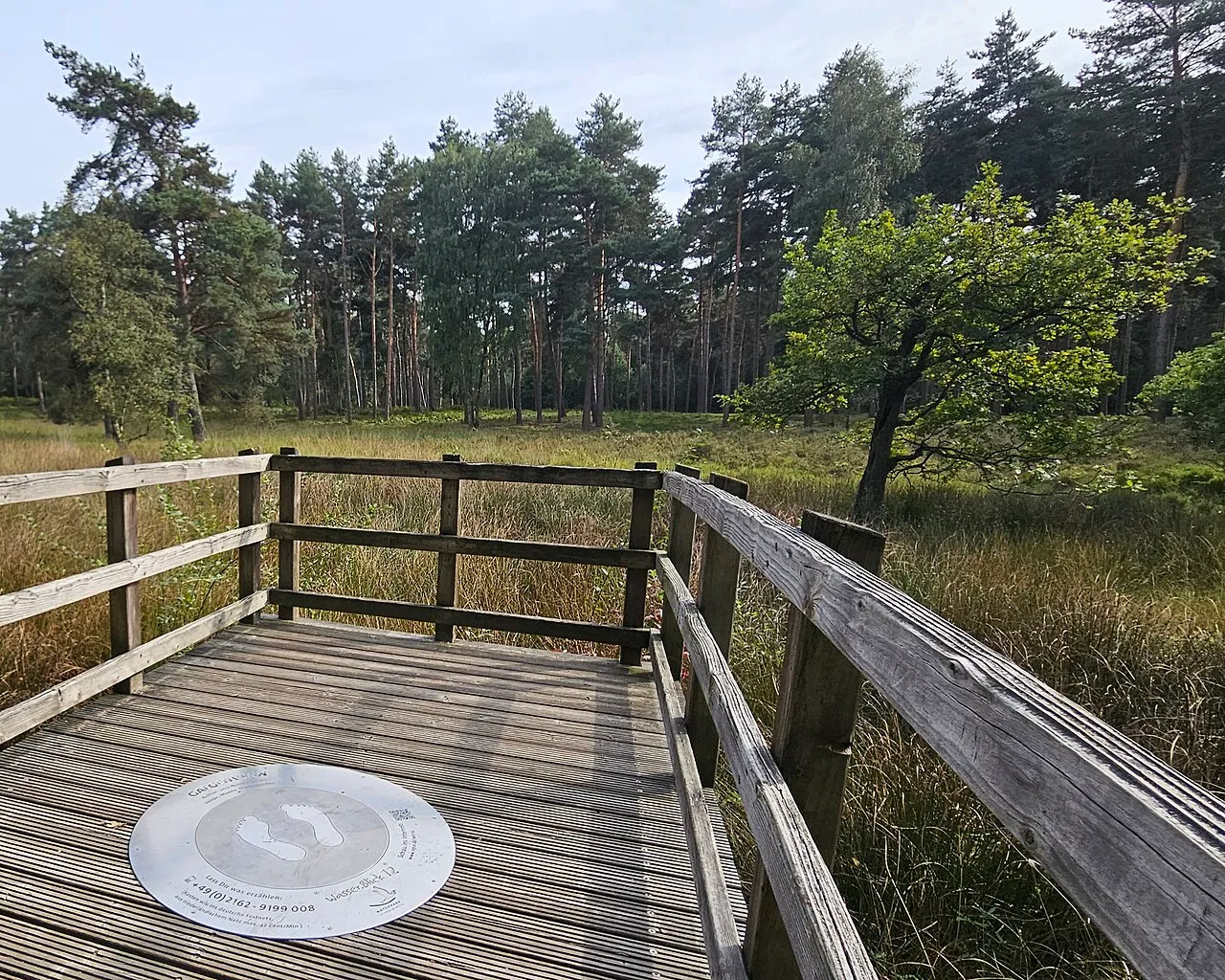 Wasser.Blick 12 Galgenvenn