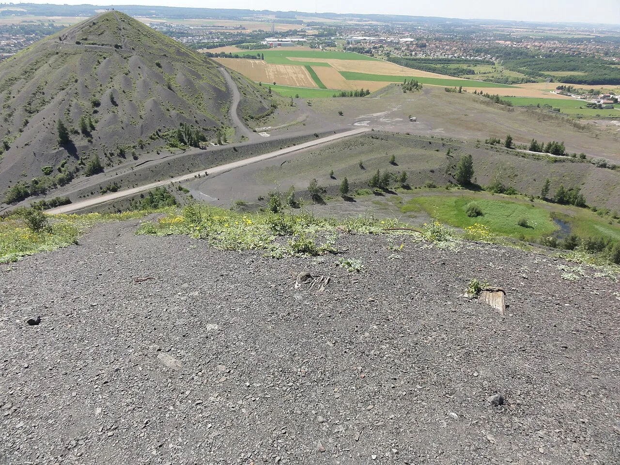 Terril №74, 11 - 19 de Lens Est
