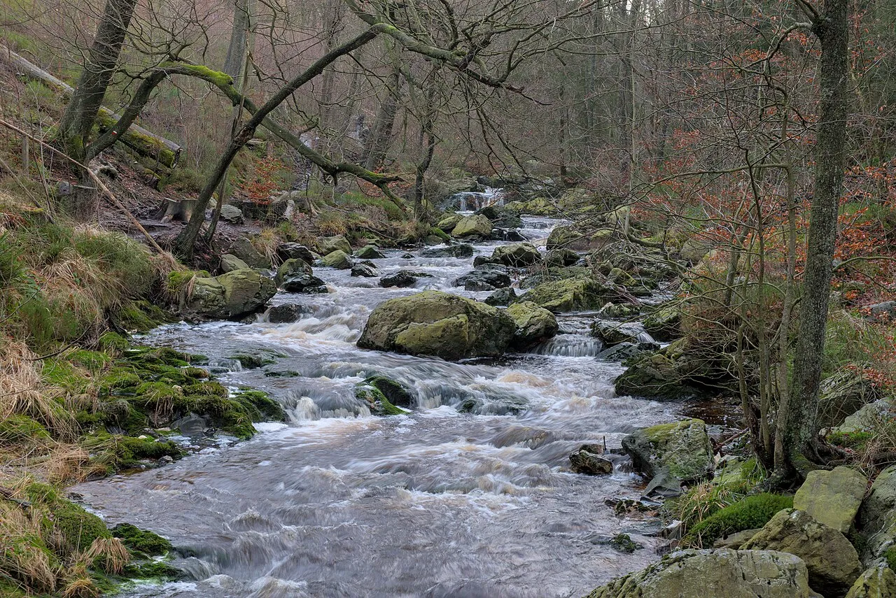 Belvédère de la Hoëgne