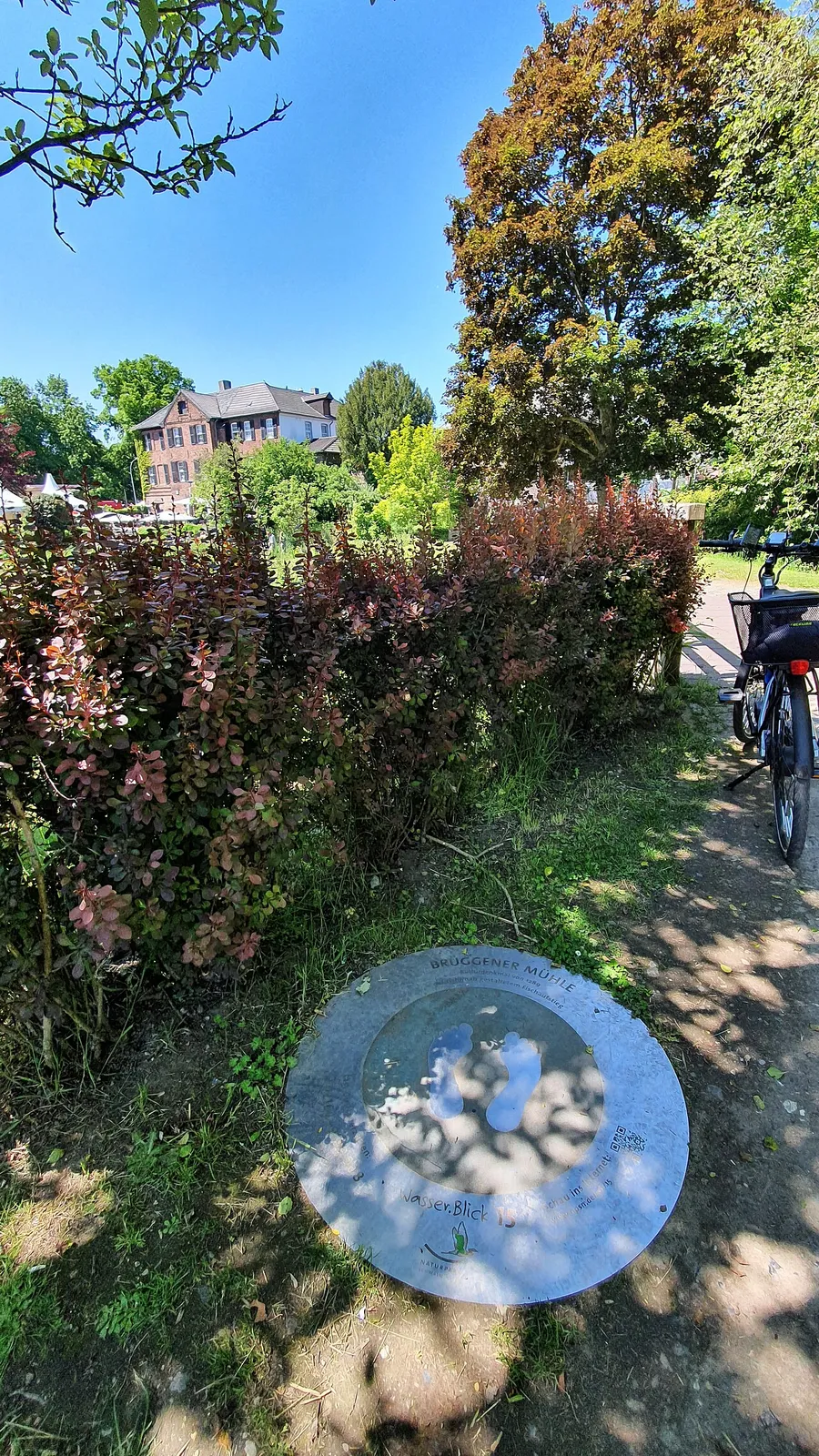 Wasser.Blick 15 - Brüggener Mühle