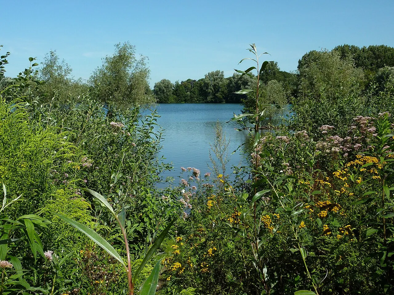 Vogelkijkhut Damvalleimeer