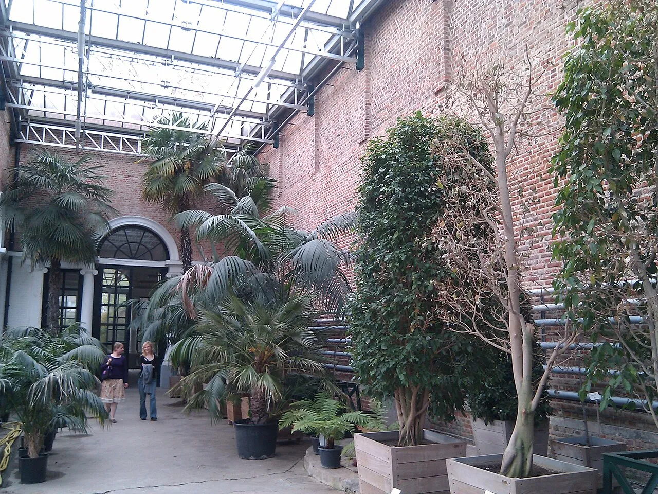 Verzonken tuin
