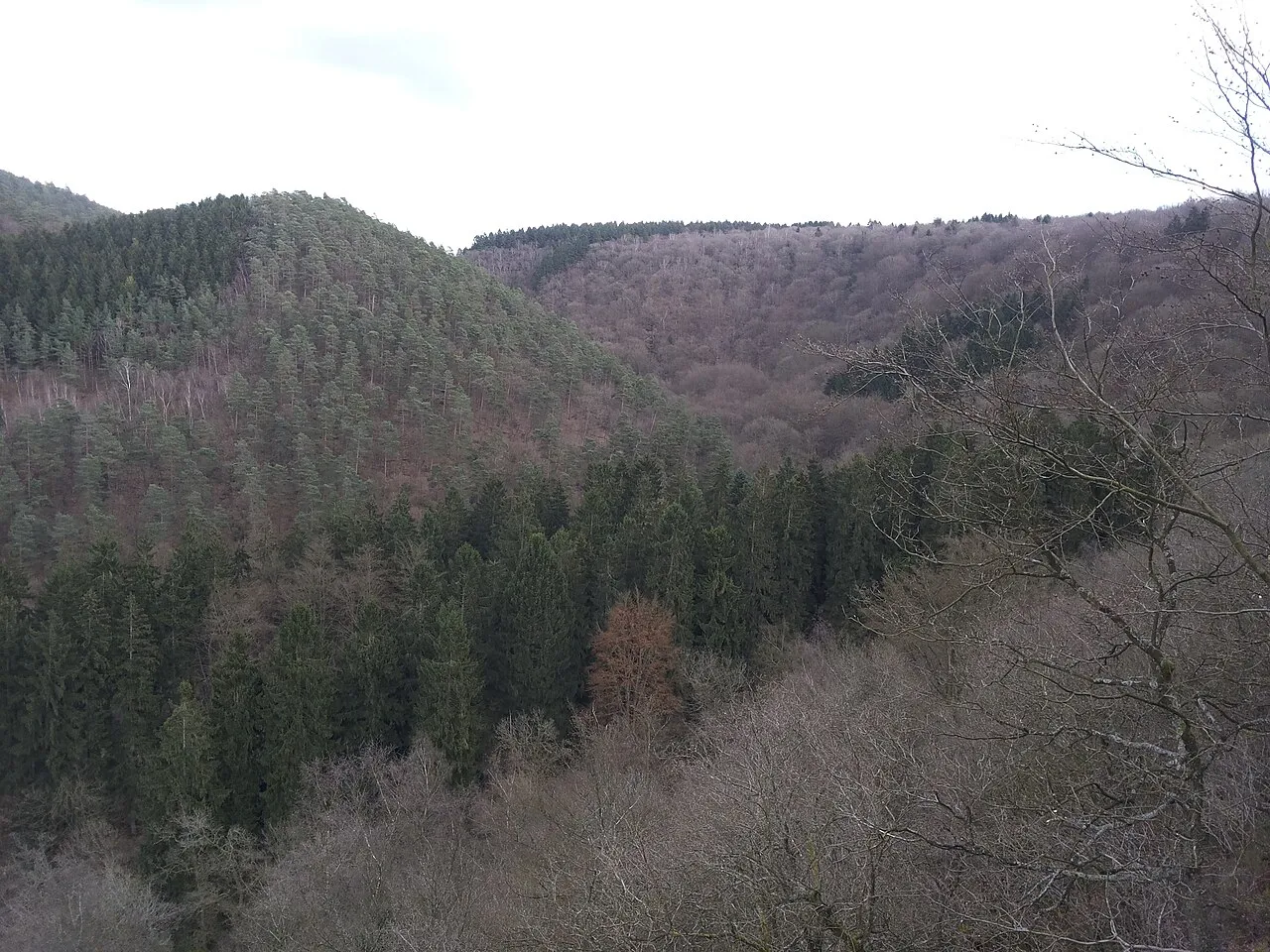 Point de vue Drouet