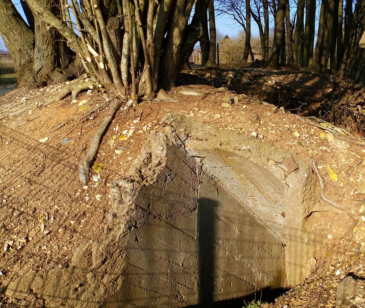 Observation Platform