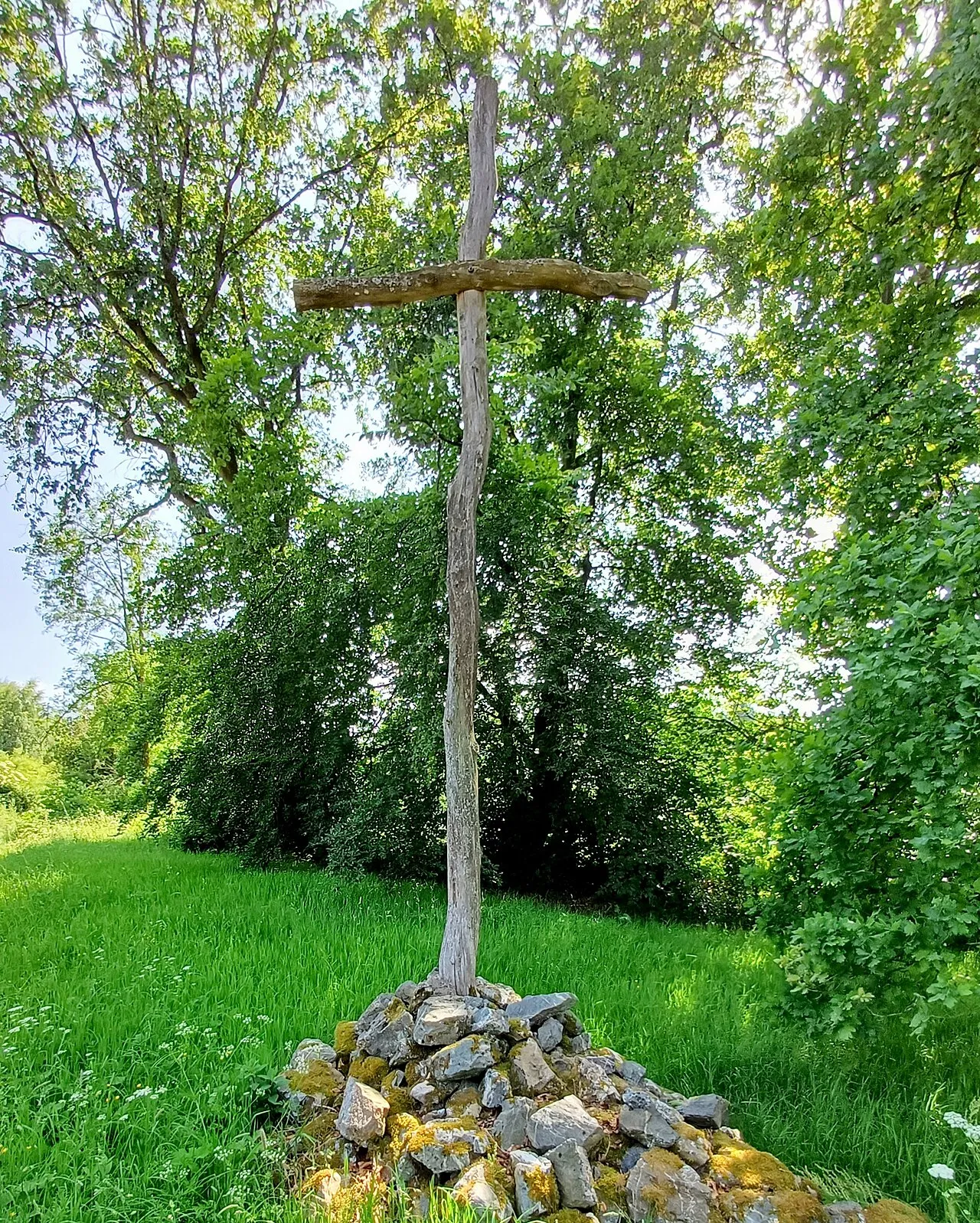 Reinartzhof Mittelhof