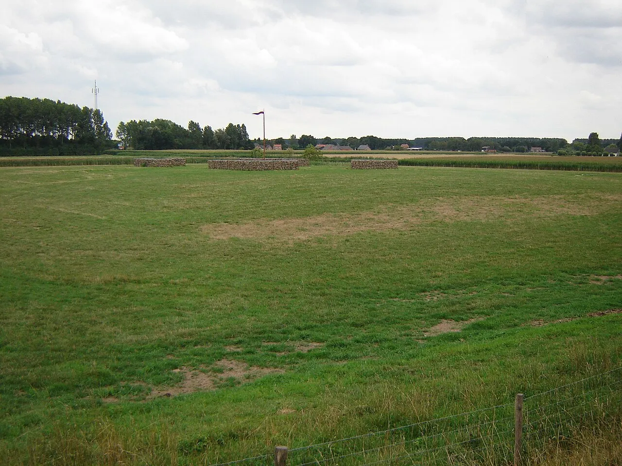 Fort Livinus