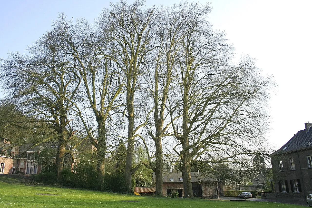 Abbaye de Saint-Denis