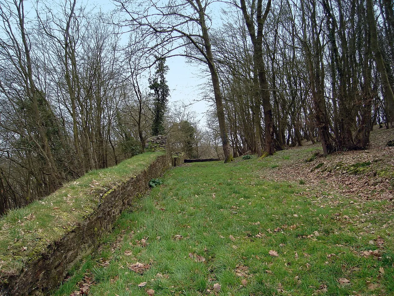 Le Camp Romain