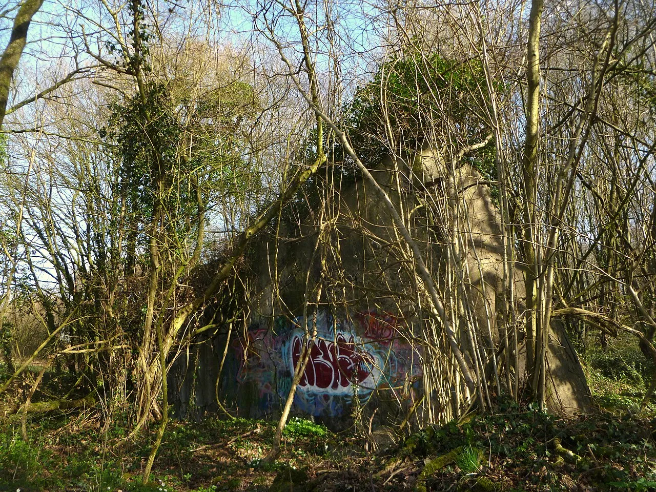 Nummer 229b