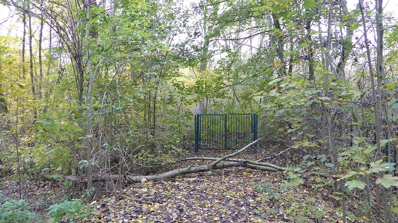 Motte féodale dite Motte Quiquempoix