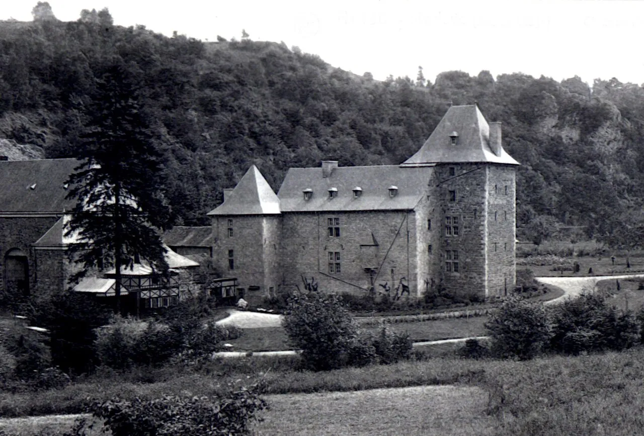 Château de Roiseux