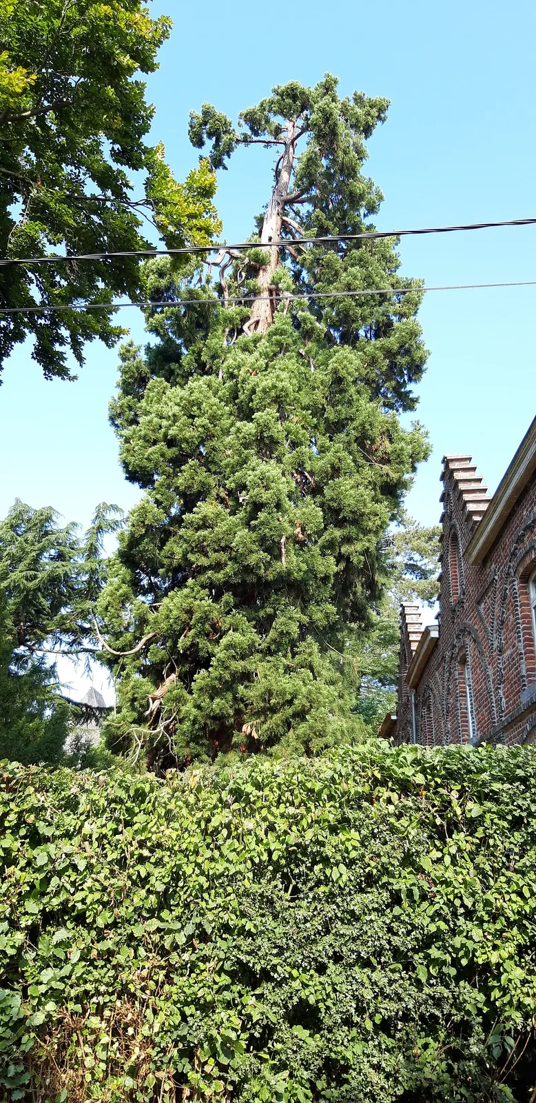 Kasteel van Ast