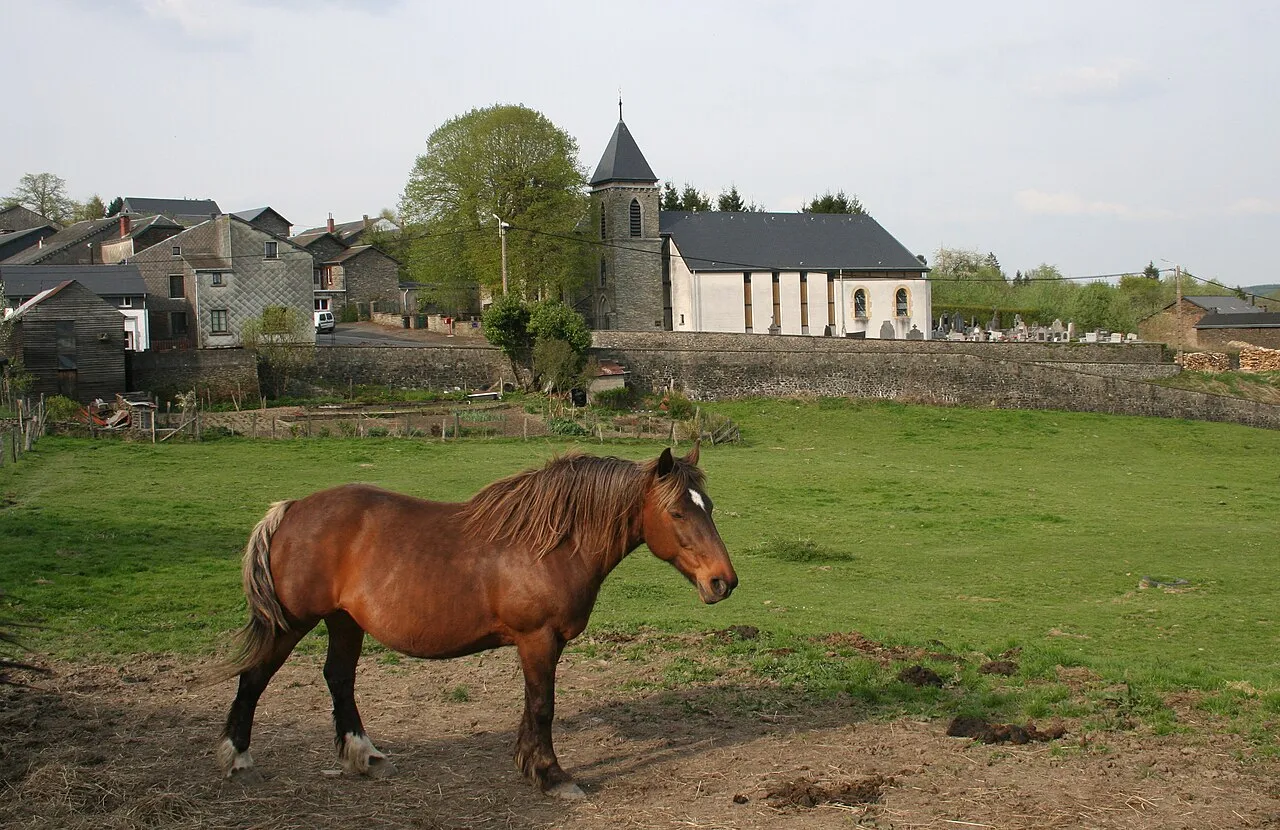 Château de Gros-Fays