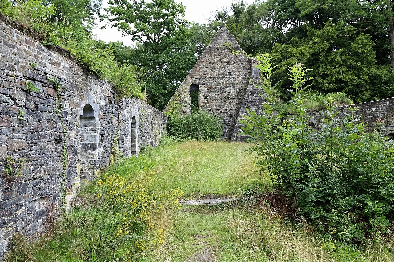 Ruines de l'abbaye de Villers
