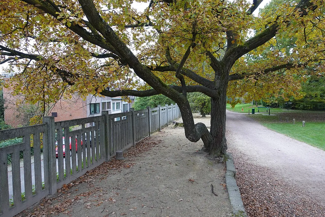 Ancient Stokkel Railway Station