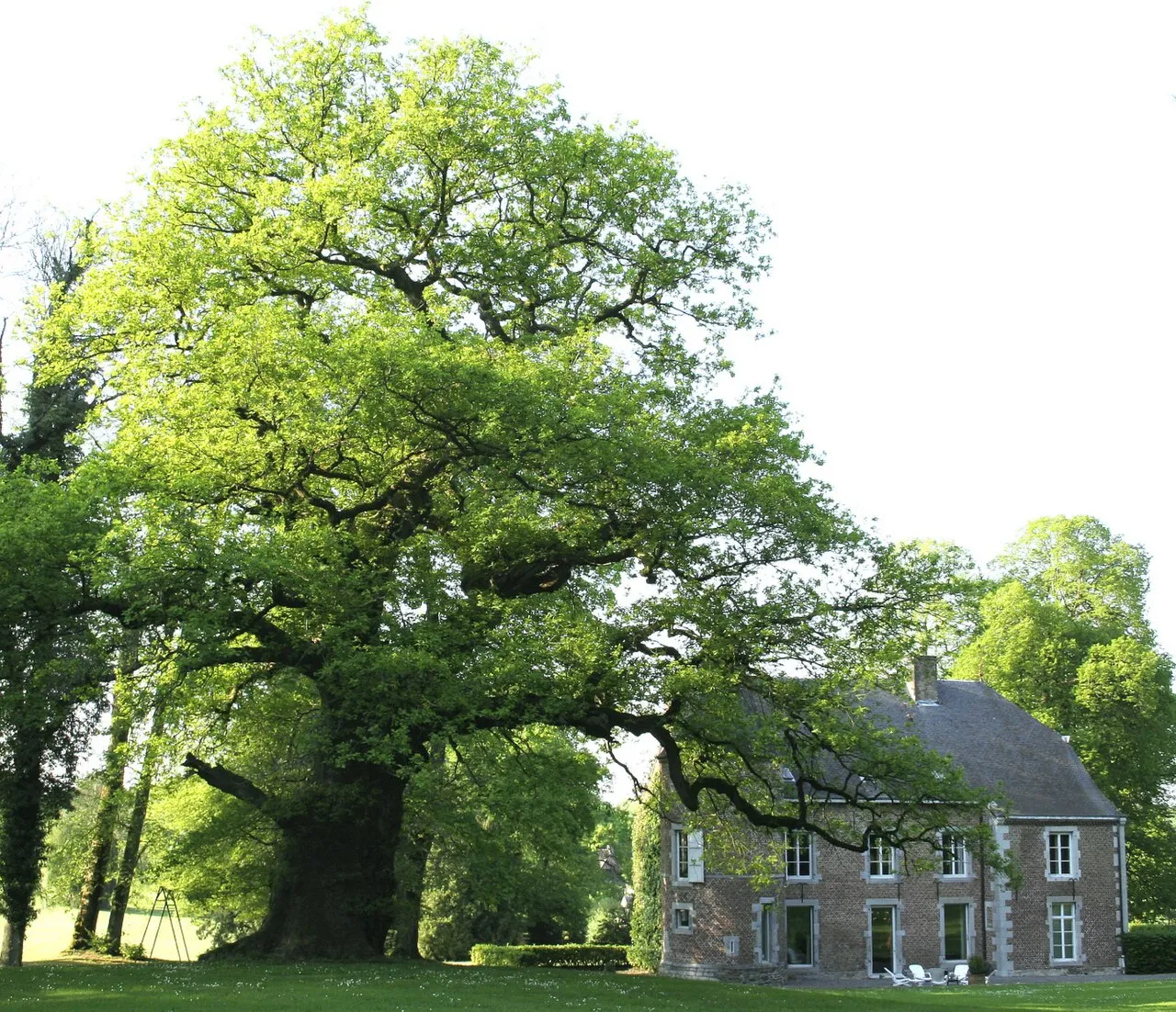 Château de Ferage