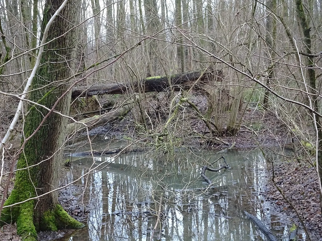 Pavillon