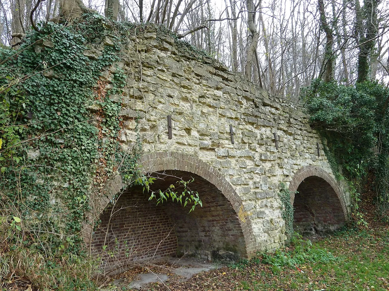 Kalkoven Bosrand