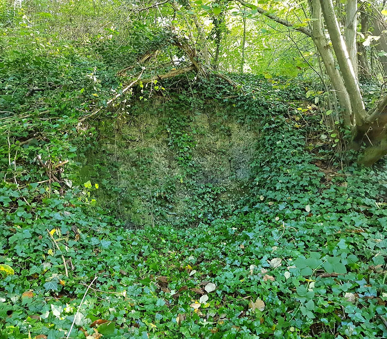 Kalkoven Putberg