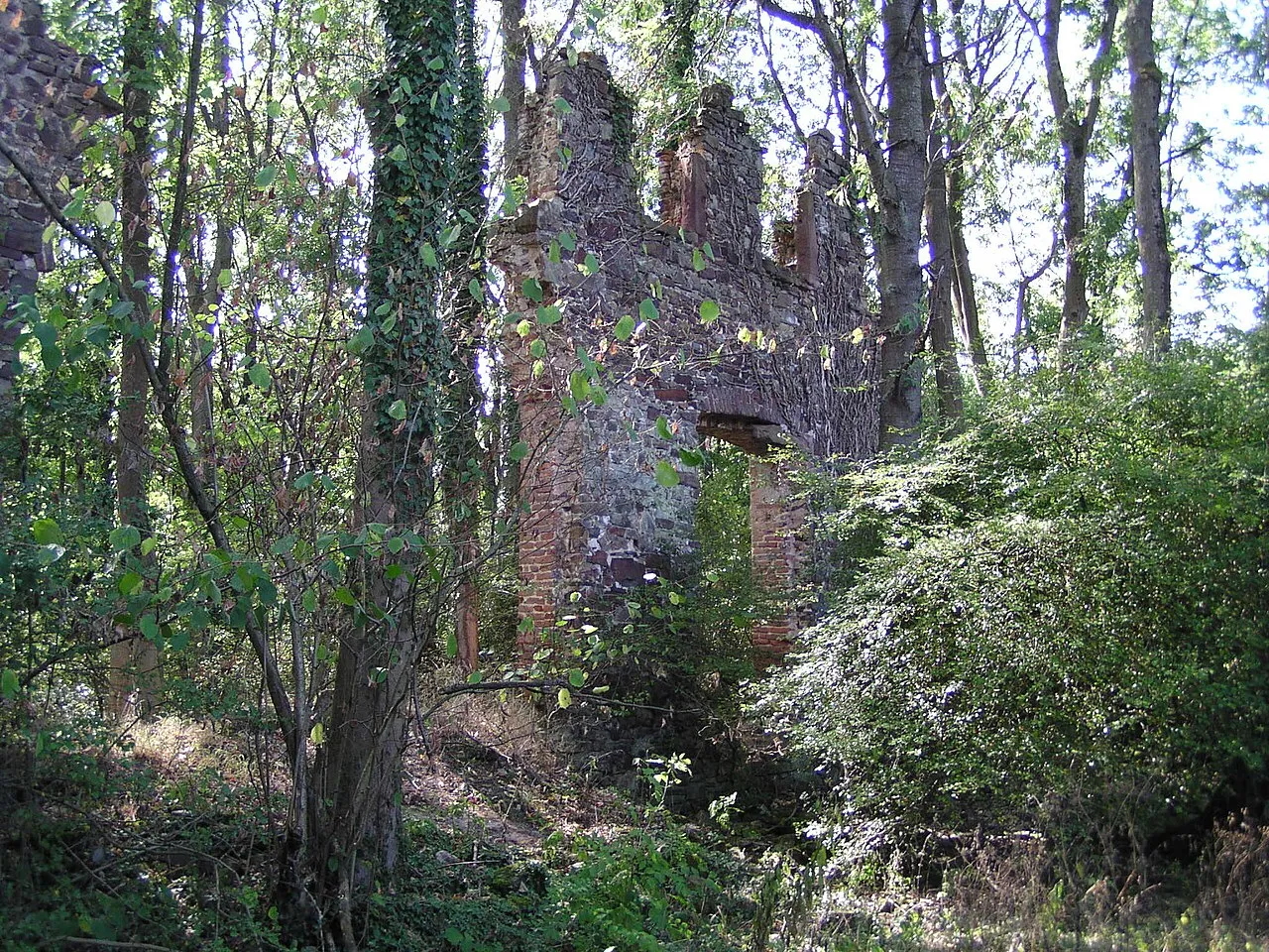 Klosterruine Schwarzenbroich