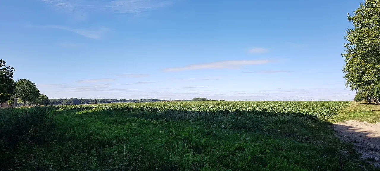 Hoenshuis