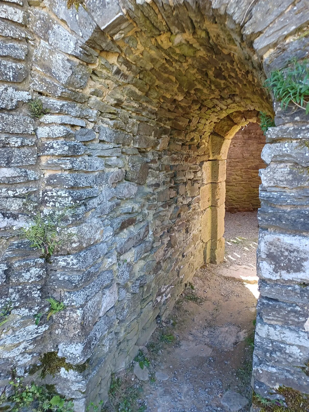 Château-fort d'Herbeumont