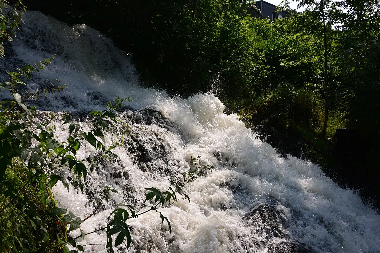 Petit Cascade de Coo